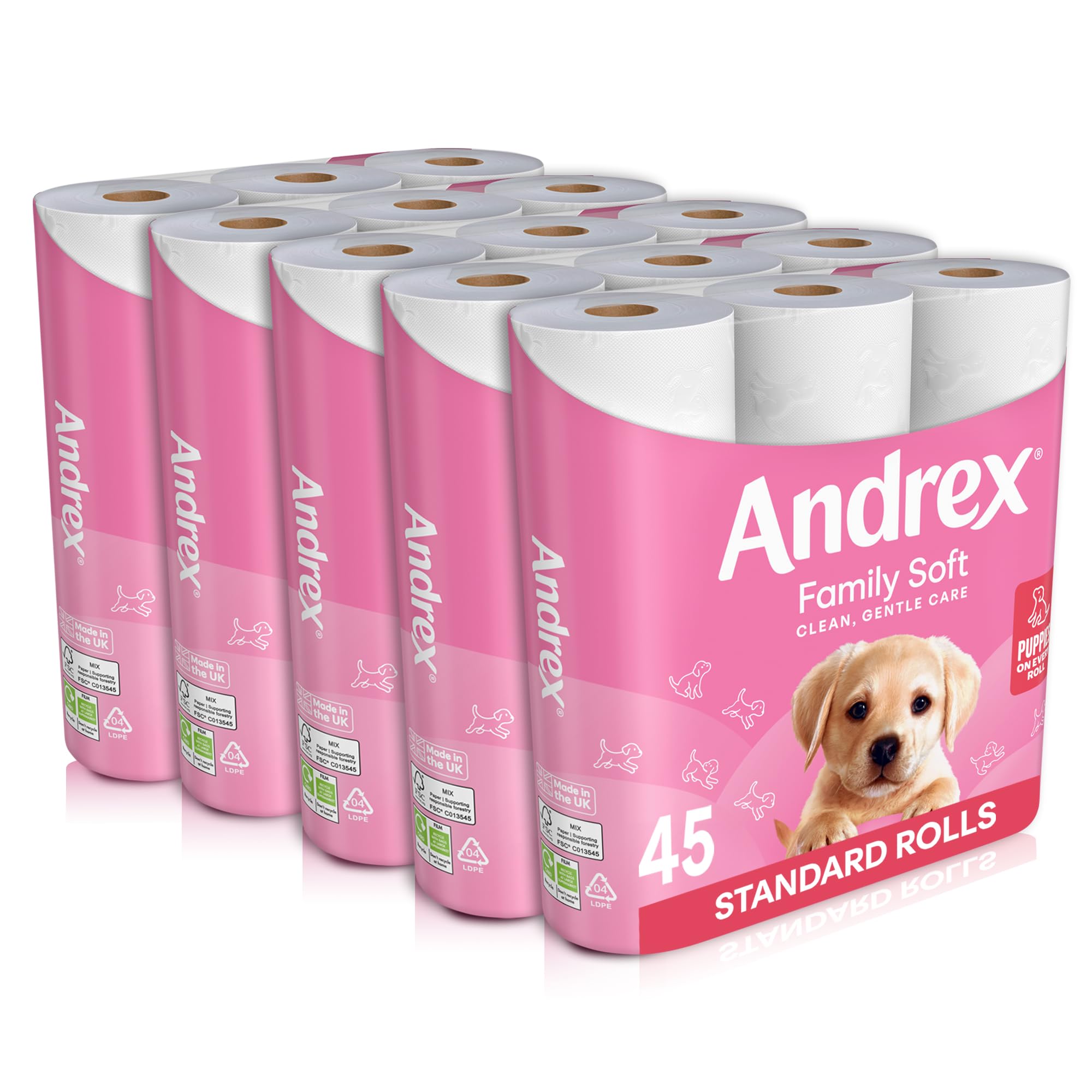 Andrex Family Soft Toilet Tissue 45 Rolls (Previously Andrex Gentle Clean) Gentle on your Family’s skin– Bulk Pack of 45 Toilet Rolls, FSC Certified